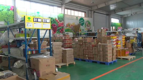 奇臺縣政協視察電子商務工作，推動服務升級賦能縣域發展